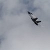 Aviation